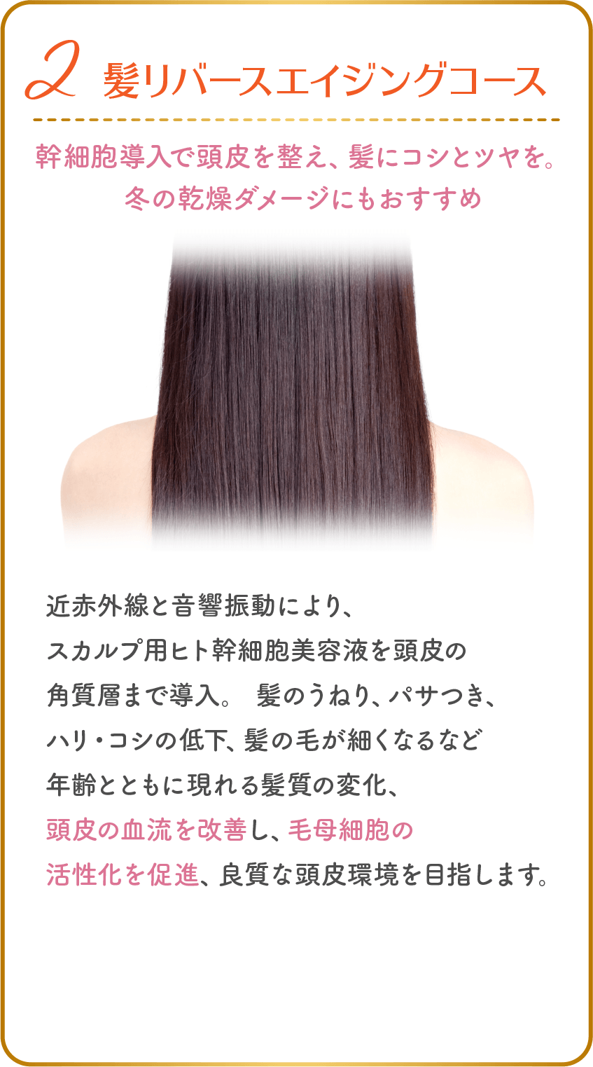 2、リバースエイジングコース 幹細胞導入で頭皮を整え、髪にコシとツヤを。冬の乾燥ダメージにもおすすめ 近赤外線と音響振動により、スカルプ用ヒト幹細胞美容液を頭皮の角質層まで導入。 髪のうねり、パサつき、ハリ・コシの低下、髪の毛が細くなるなど年齢とともに現れる髪質の変化、頭皮の血流を改善し、毛母細胞の活性化を促進、良質な頭皮環境を目指します。