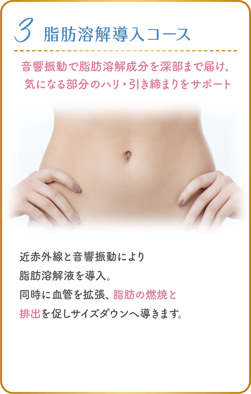 3、脂肪溶解導入コース 音響振動で脂肪溶解成分を深部まで届け、気になる部分のハリ・引き締まりをサポート 近赤外線と音響振動により脂肪溶解液を導入。同時に血管を拡張、脂肪の燃焼と排出を促しサイズダウンへ導きます。